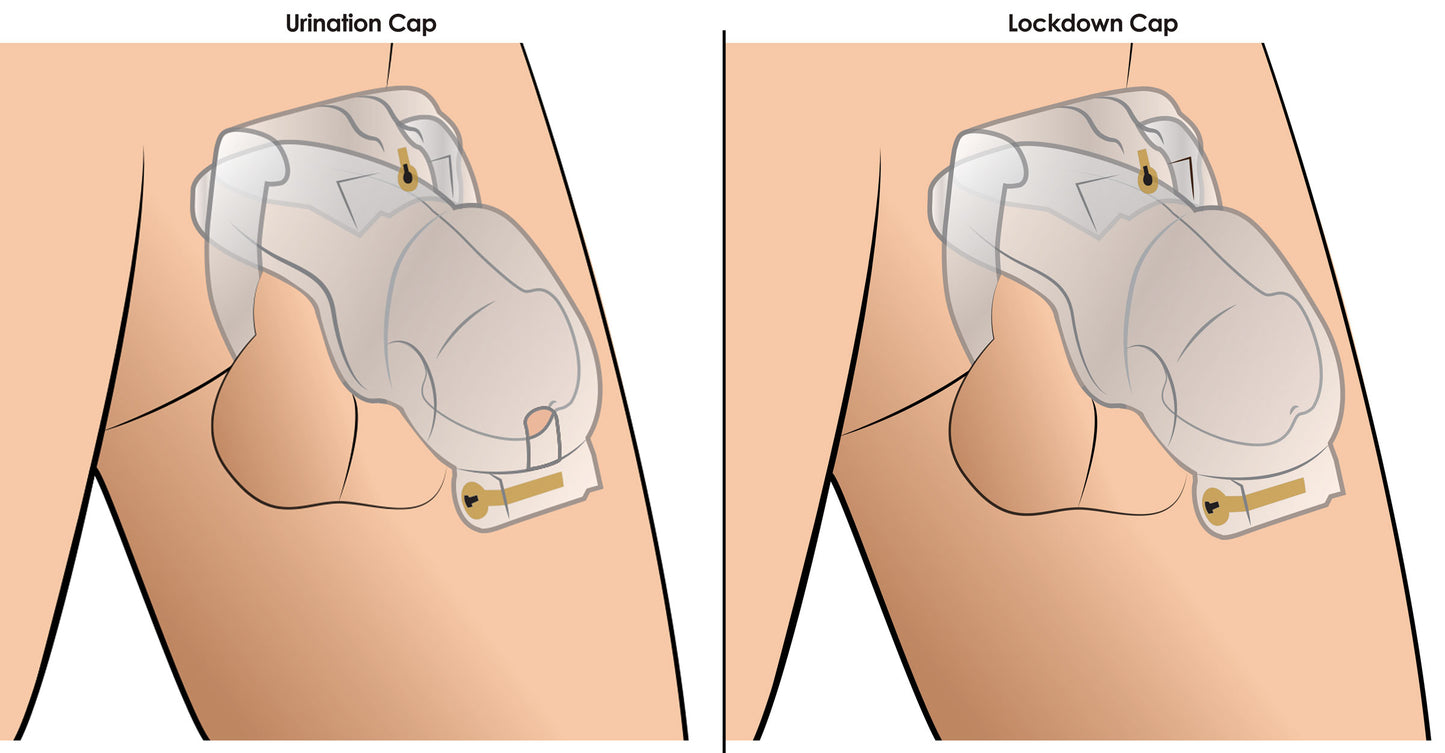 Lockdown Customizable Chastity Cage